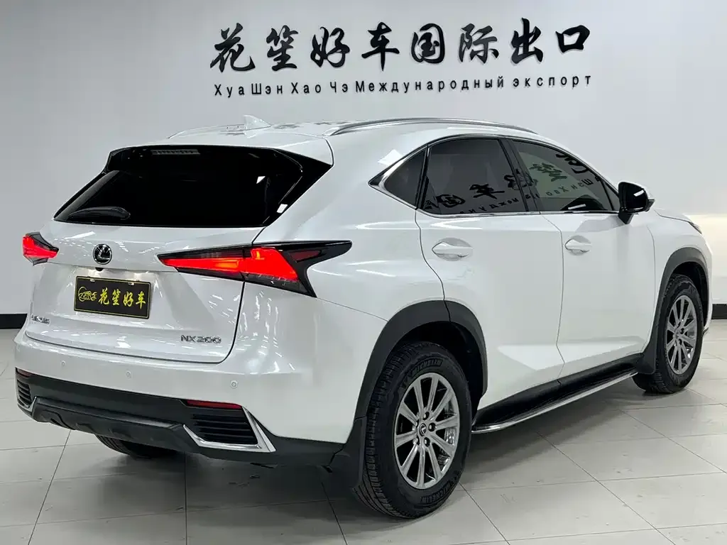 Lexus NX 2021 из CN, фото 4
