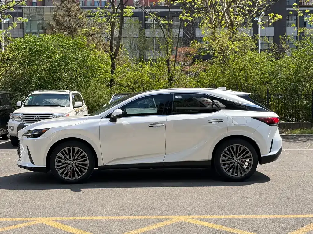 Lexus RX — фото 10