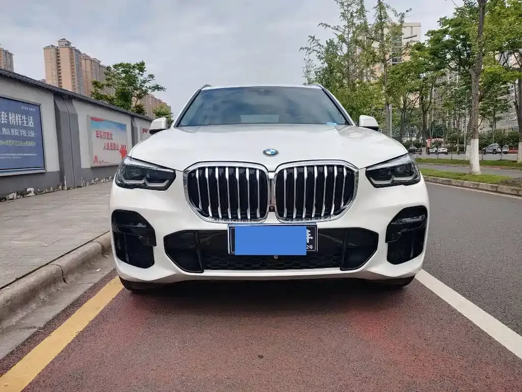 BMW X5 (Import) — фото 10