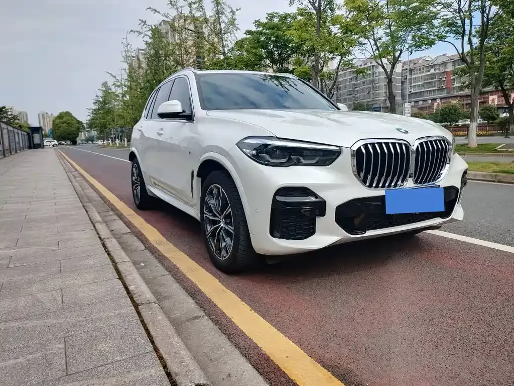 BMW X5 (Import) — фото 8