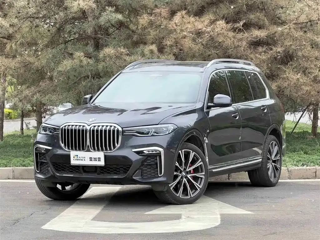 BMW X7 — фото 1