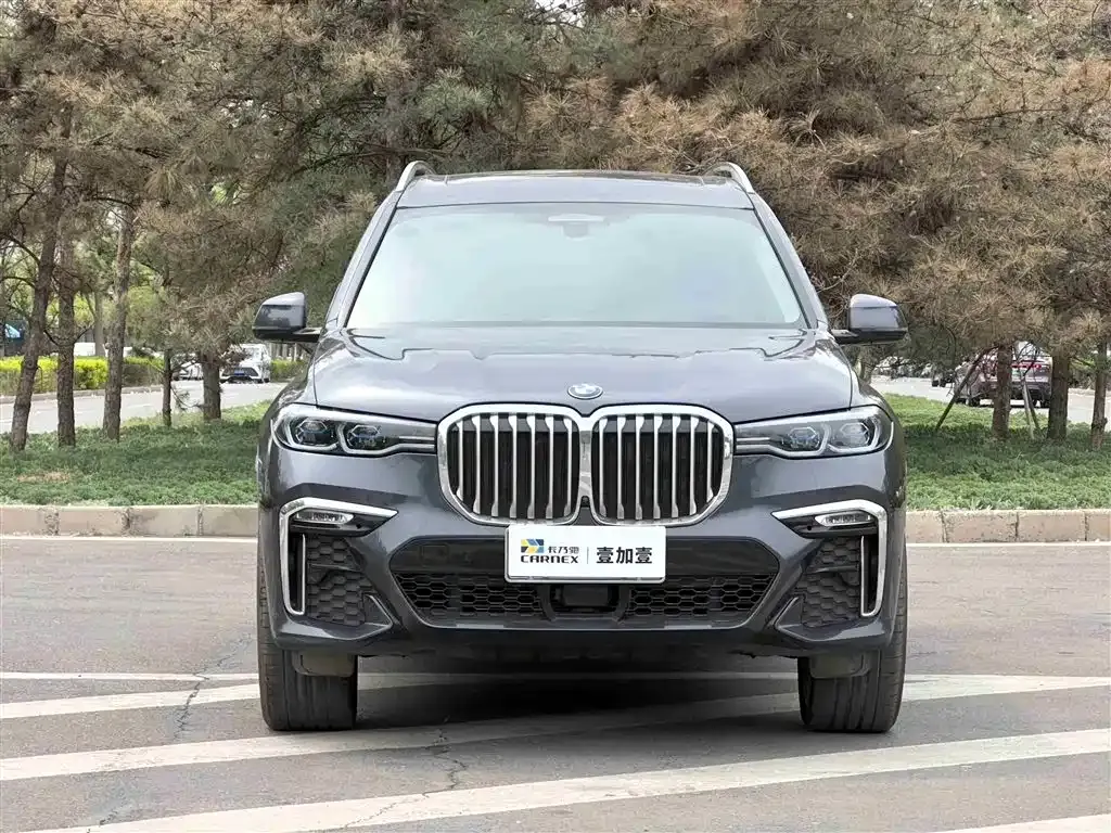 BMW X7 — фото 10