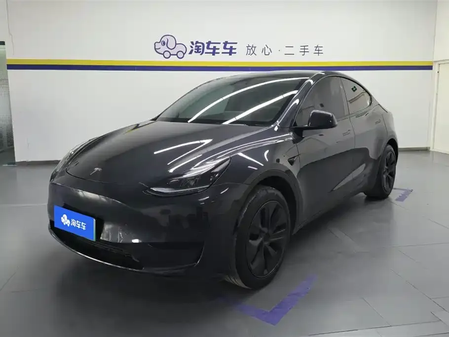 Tesla Model Y — фото 1