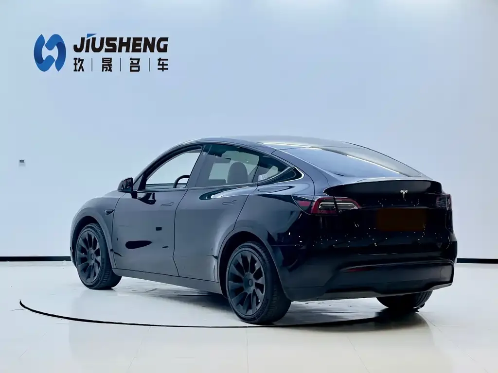 Tesla Model Y — фото 6