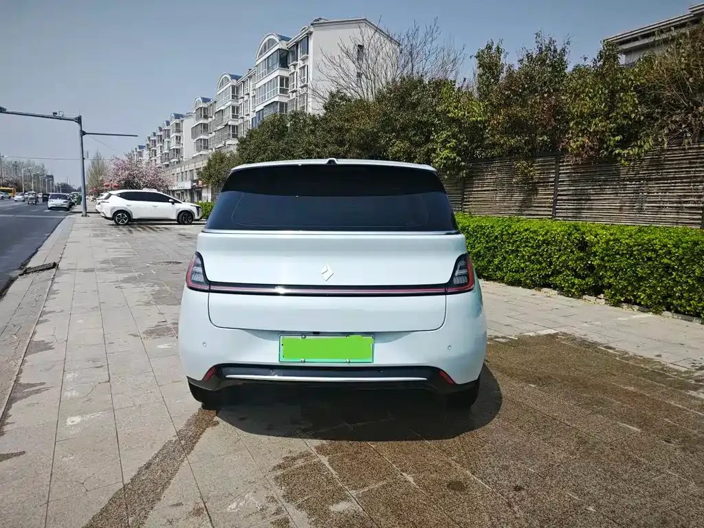 Baojun Yunduo 2024 из CN, фото 8