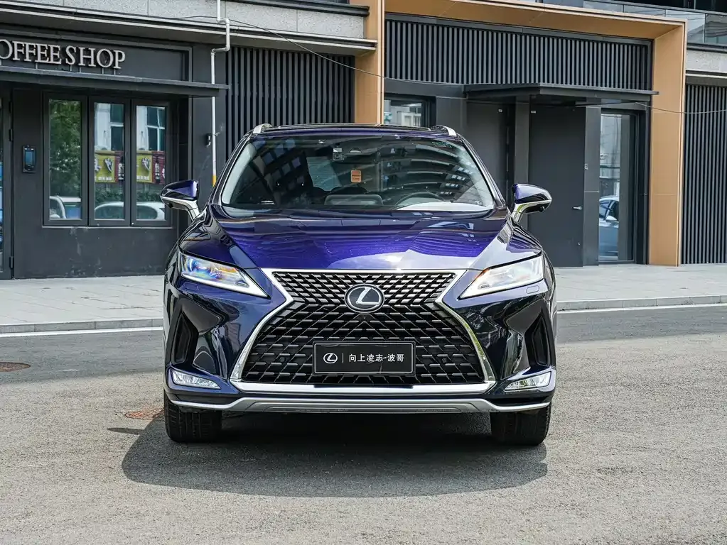 Lexus RX — фото 8