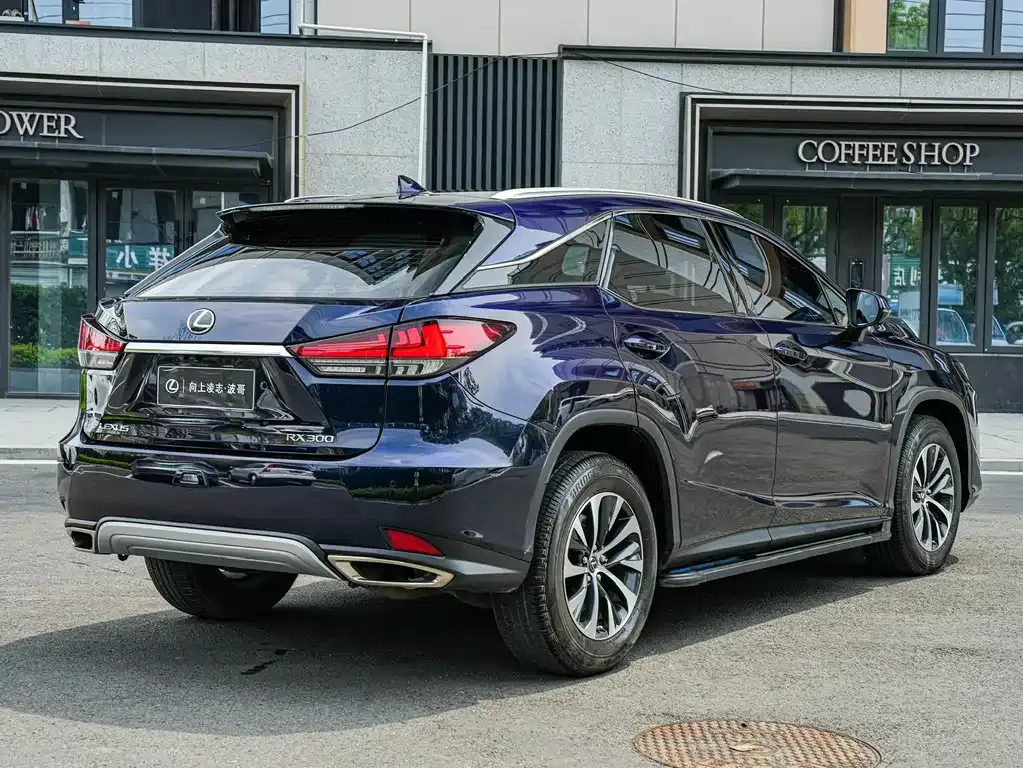 Lexus RX — фото 4