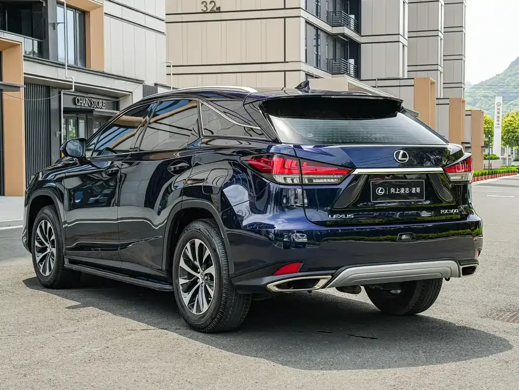 Lexus RX — фото 9