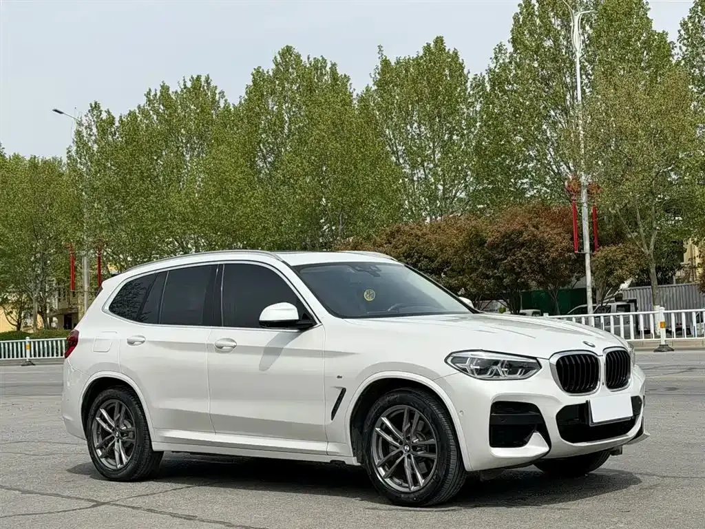 BMW X3 — фото 10