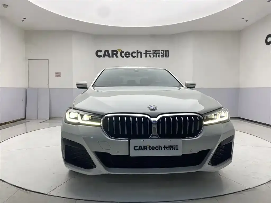 BMW 5 Series 2021 из CN, фото 6