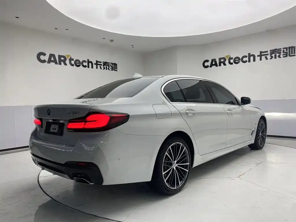 BMW 5 Series 2021 из CN, фото 10