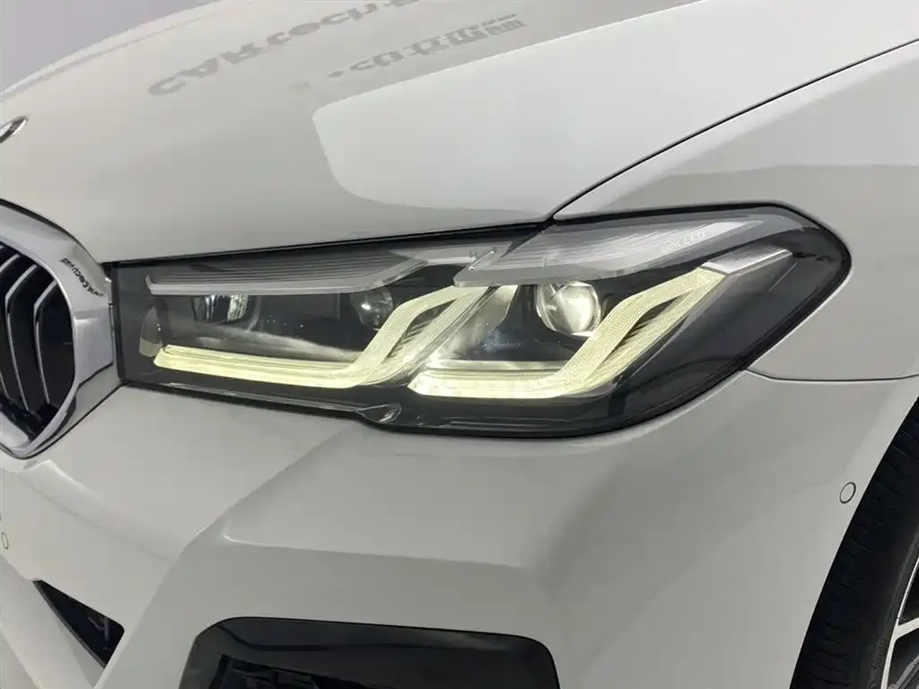 BMW 5 Series 2021 из CN, фото 8