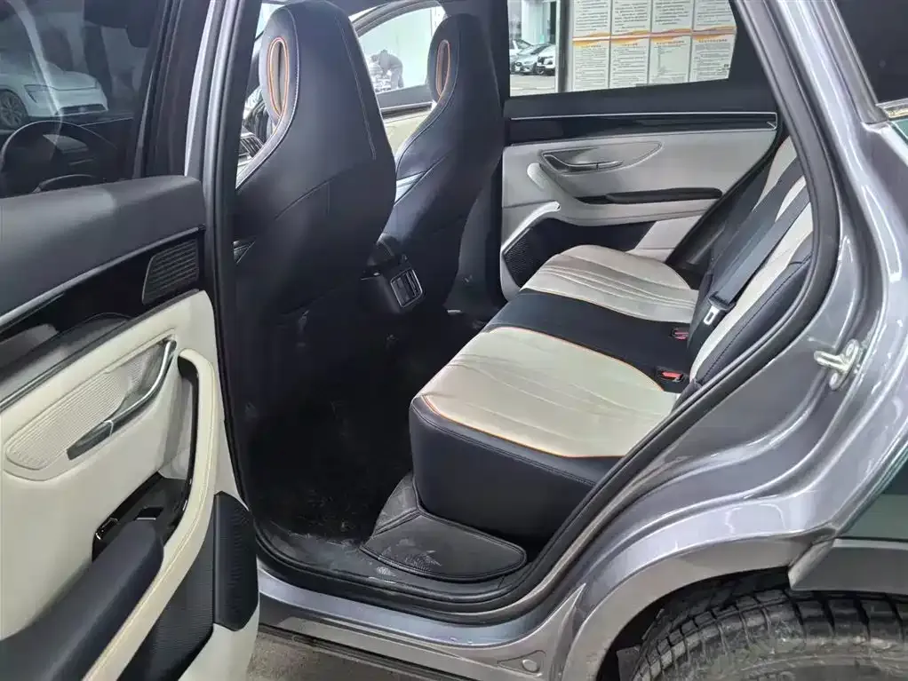 BYD PLUS New Energy 2023 из CN, фото 2