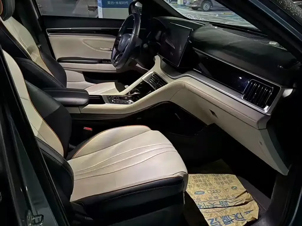 BYD PLUS New Energy 2023 из CN, фото 3