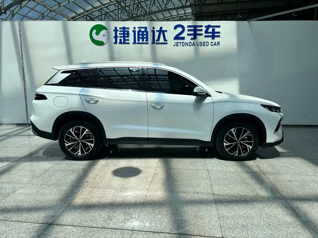 BYD Pro New Energy — фото 10