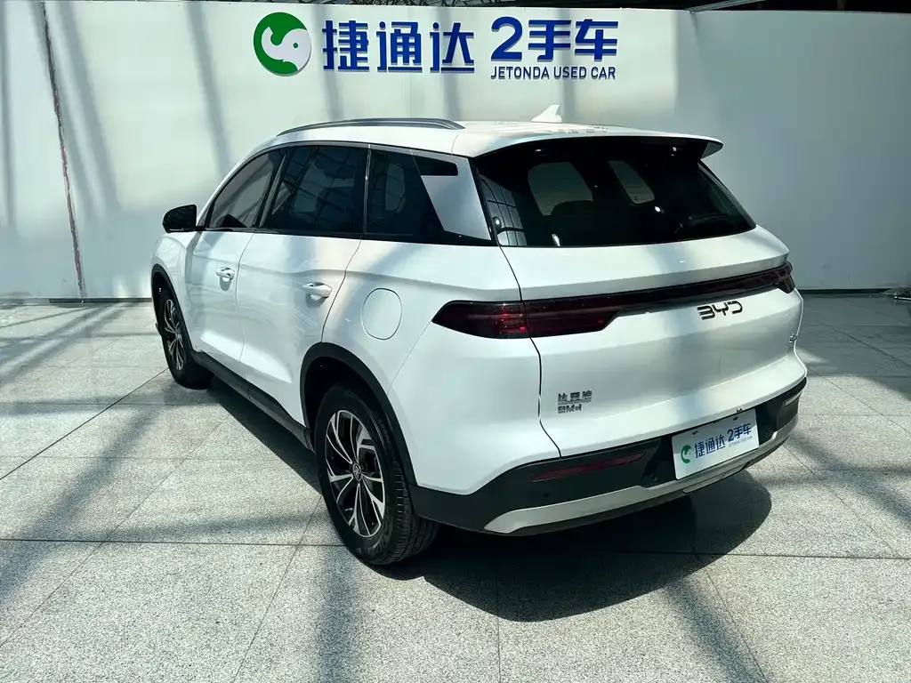 BYD Pro New Energy — фото 5