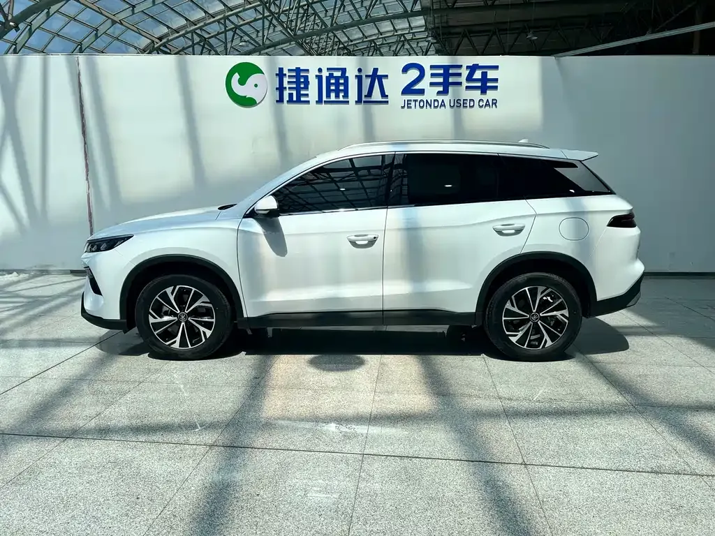 BYD Pro New Energy — фото 7