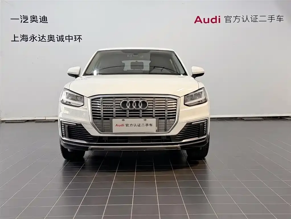 Audi Q2L e-tron 2021 из CN, фото 5