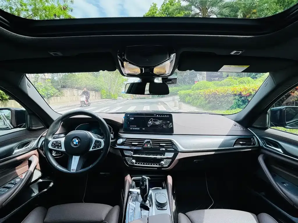 BMW 5 Series New Energy 2021 из CN, фото 4