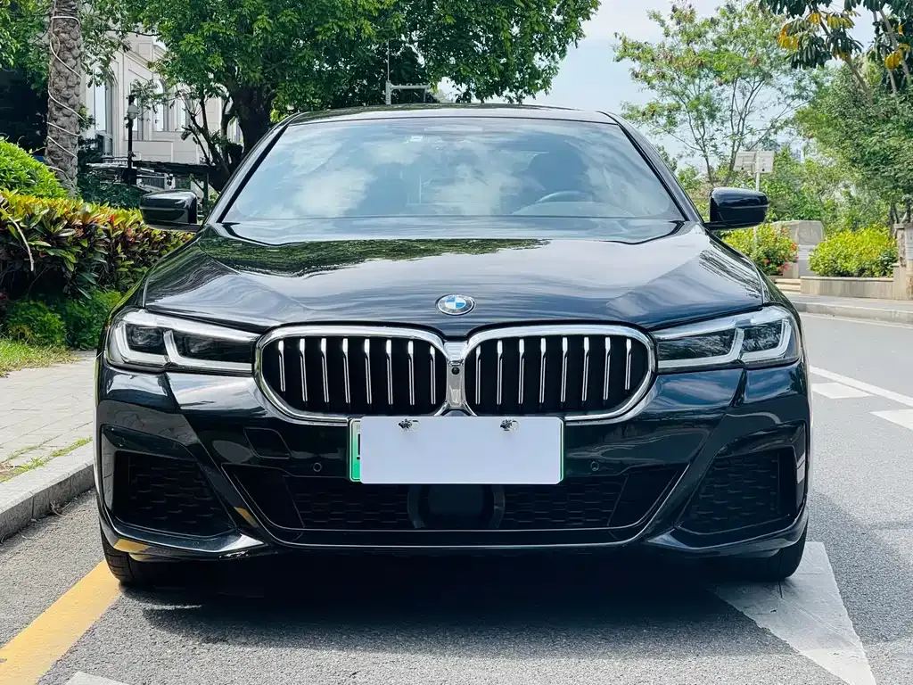BMW 5 Series New Energy 2021 из CN, фото 6