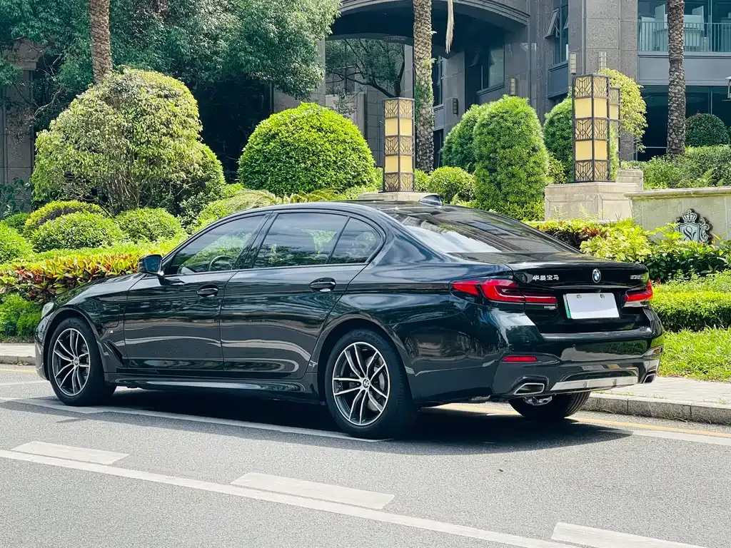 BMW 5 Series New Energy 2021 из CN, фото 9
