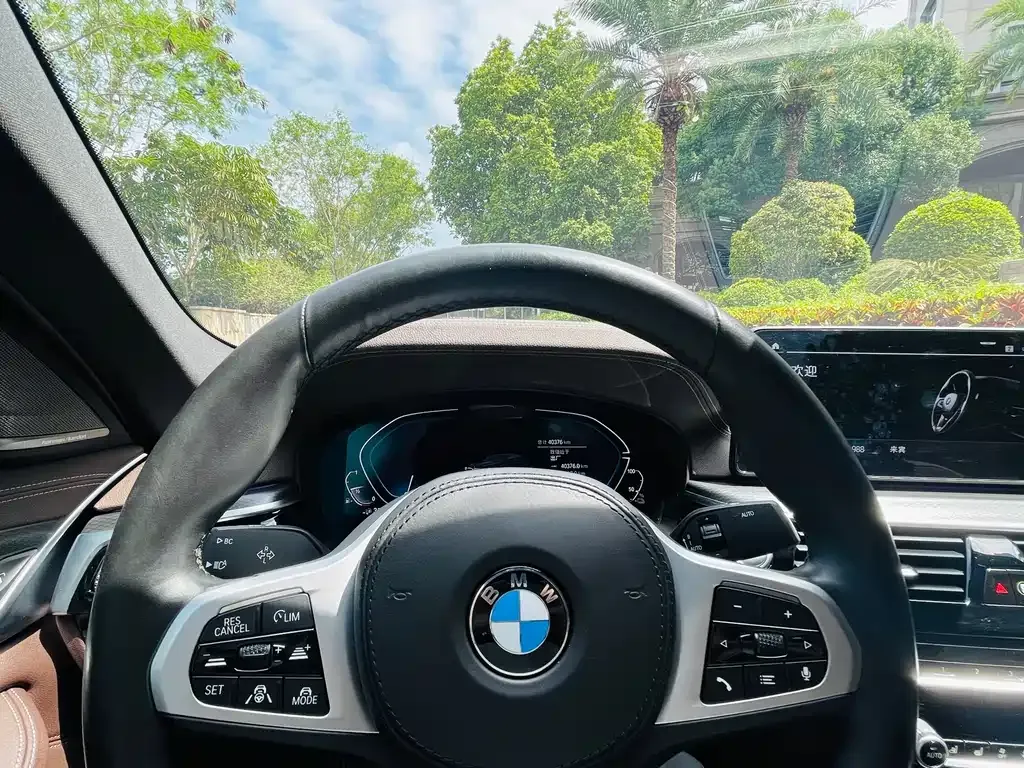 BMW 5 Series New Energy 2021 из CN, фото 7