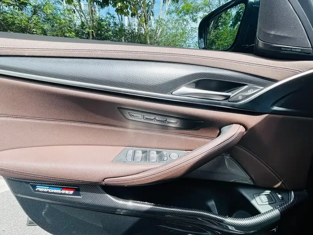 BMW 5 Series New Energy 2021 из CN, фото 10