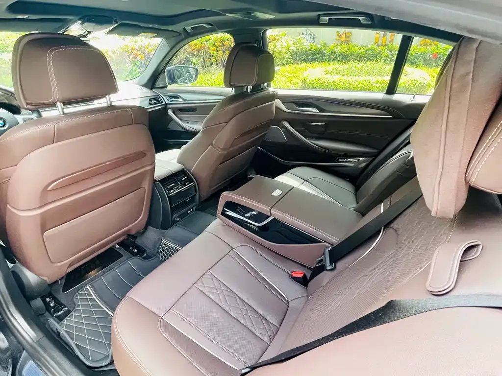 BMW 5 Series New Energy 2021 из CN, фото 2