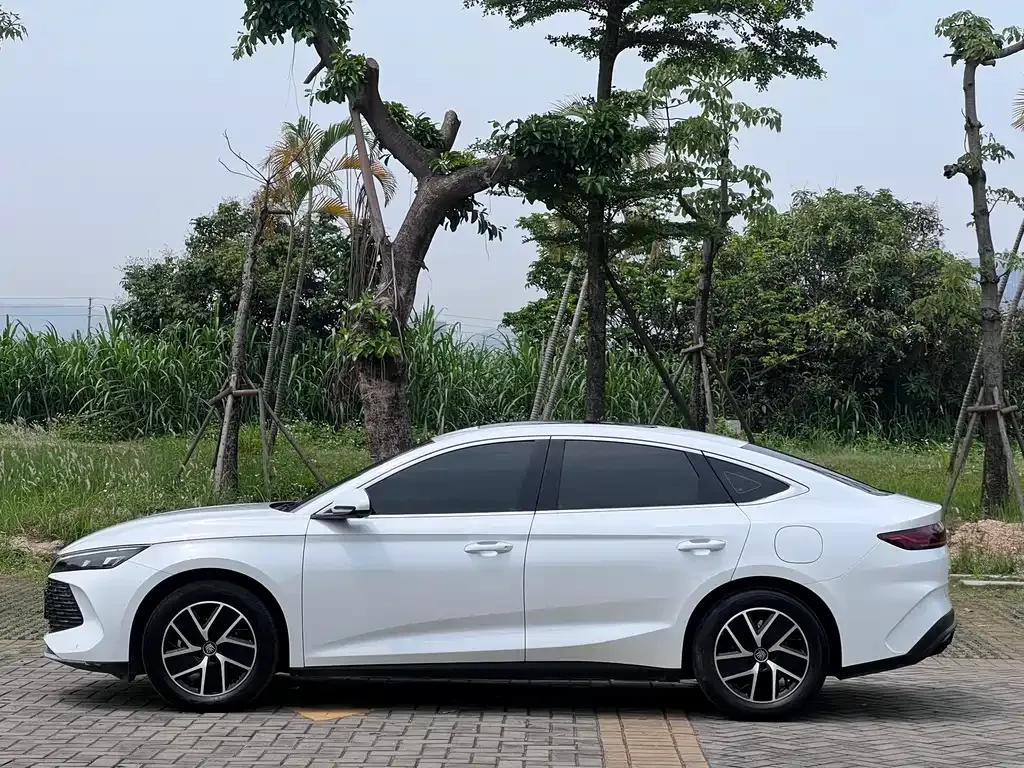 BYD Qin L — фото 6