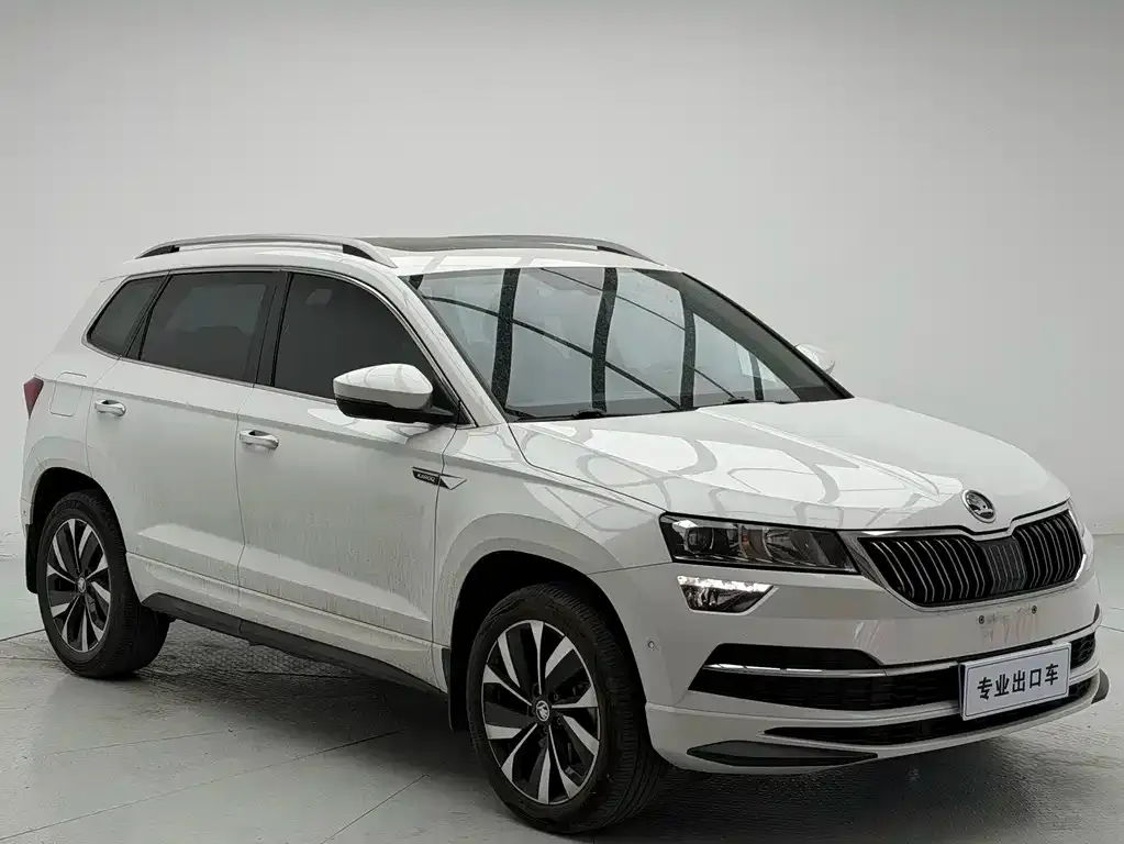 Skoda Karoq — фото 6