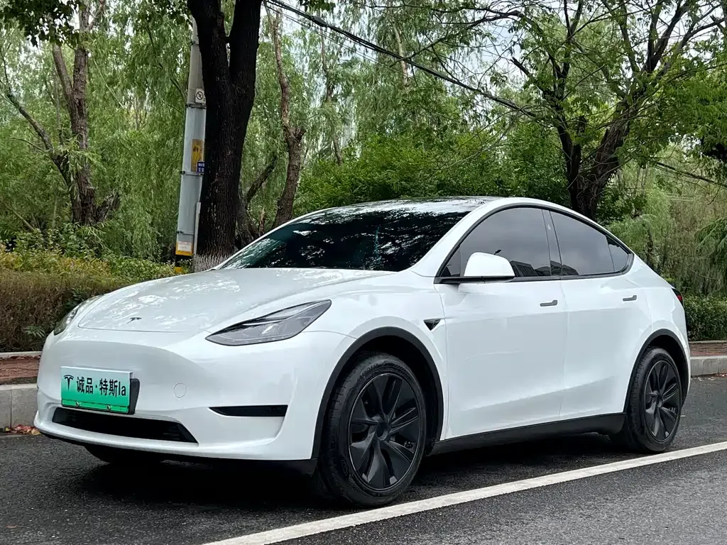 Tesla Model Y 2024 из CN, фото 1