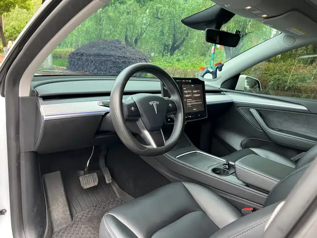 Tesla Model Y 2024 из CN, фото 5