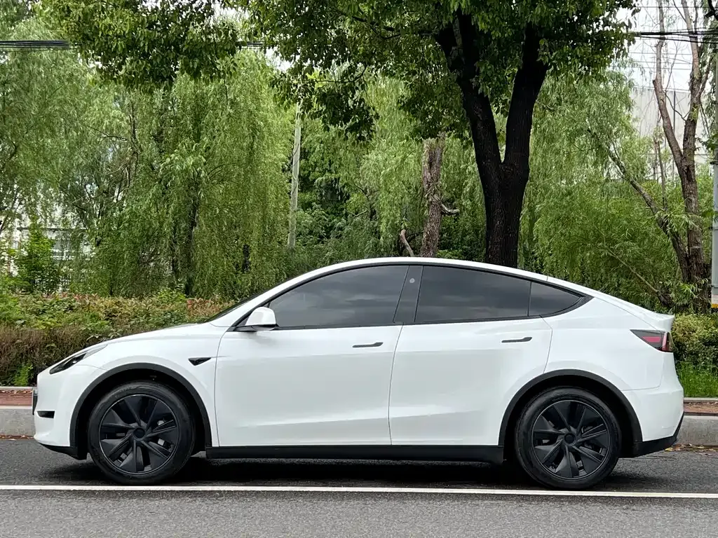 Tesla Model Y 2024 из CN, фото 10