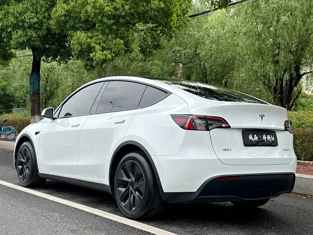 Tesla Model Y 2024 из CN, фото 9