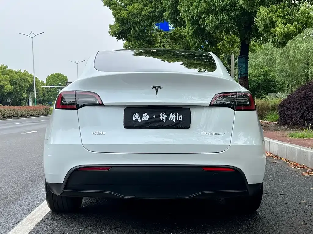 Tesla Model Y 2024 из CN, фото 4