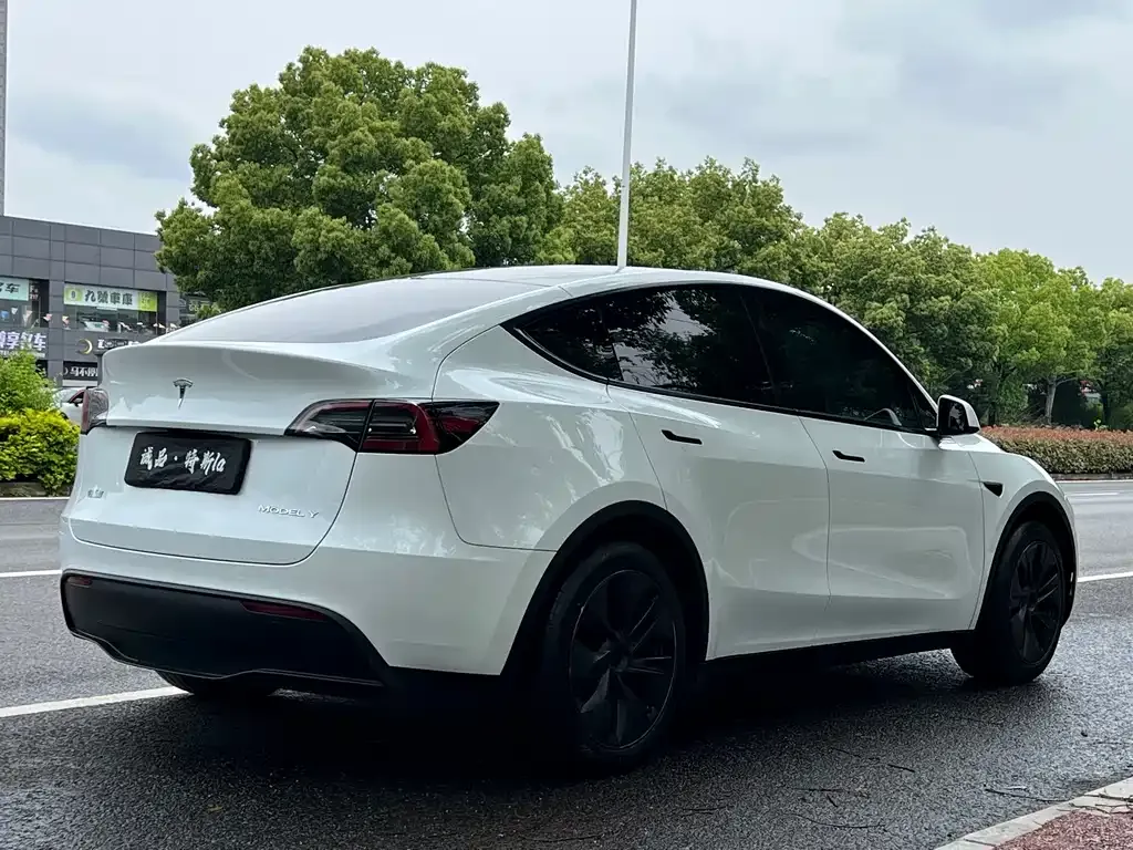 Tesla Model Y 2024 из CN, фото 6