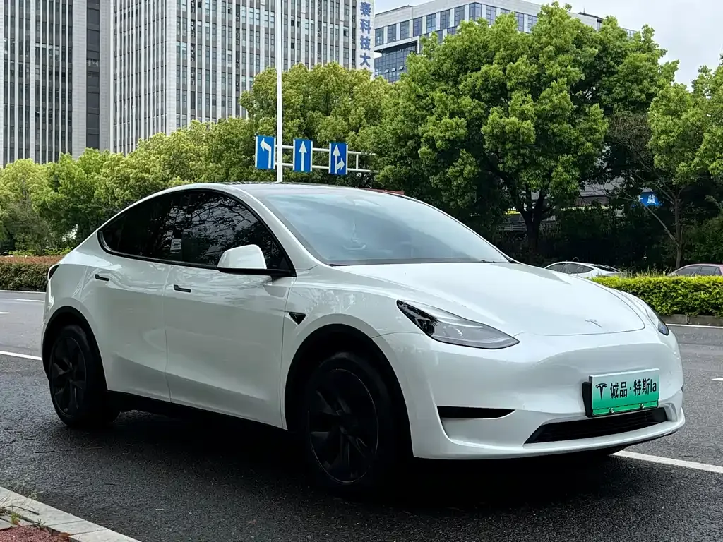 Tesla Model Y 2024 из CN, фото 8