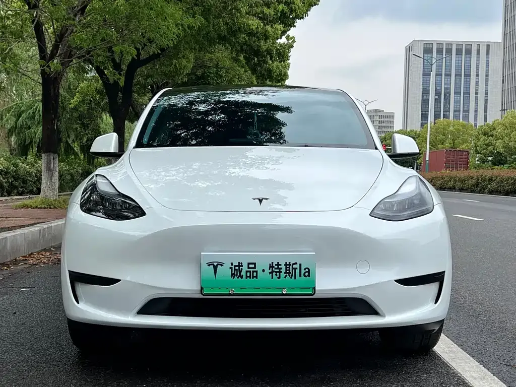 Tesla Model Y 2024 из CN, фото 7