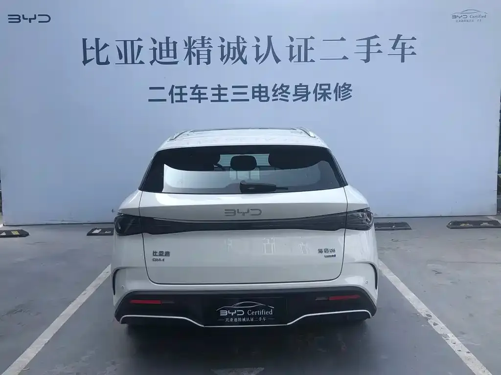 BYD Seal 06 DM-i Touring Edition 2025 из CN, фото 5