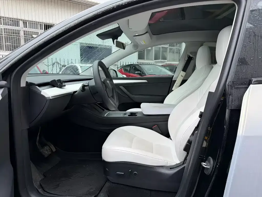 Tesla Model Y — фото 10