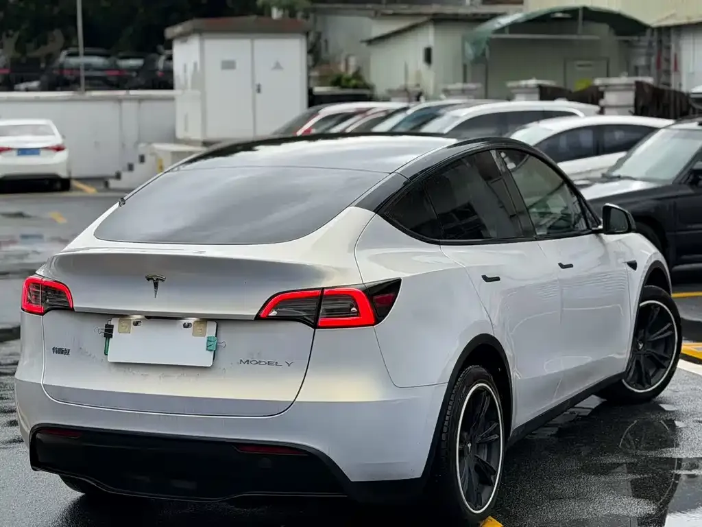 Tesla Model Y — фото 9