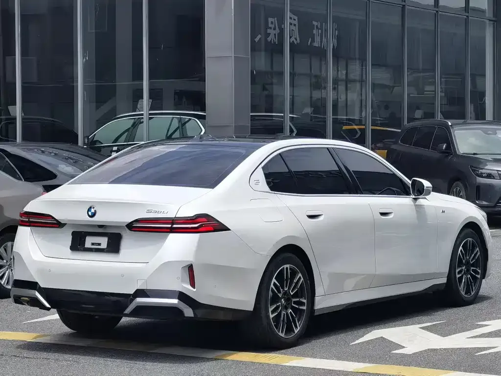 BMW 5 Series 2024 из CN, фото 8
