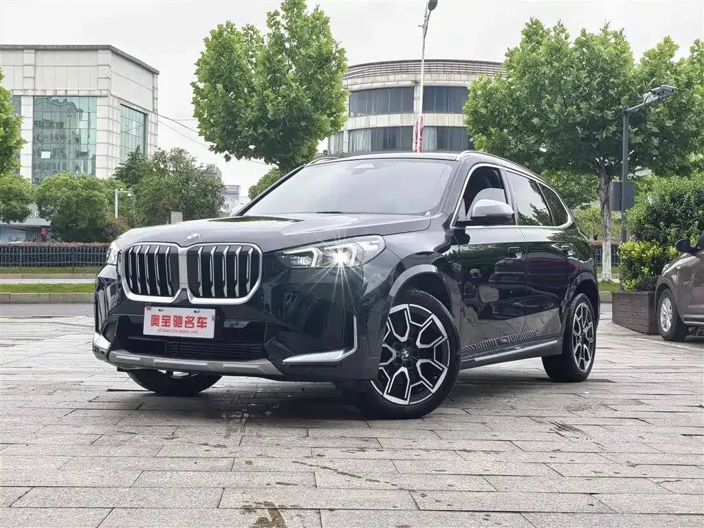 BMW X1 — фото 1