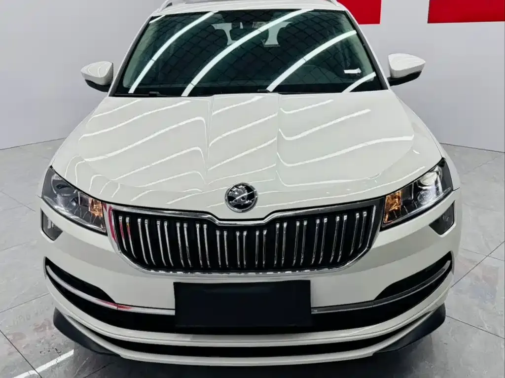Skoda Karoq 2023 из CN, фото 7