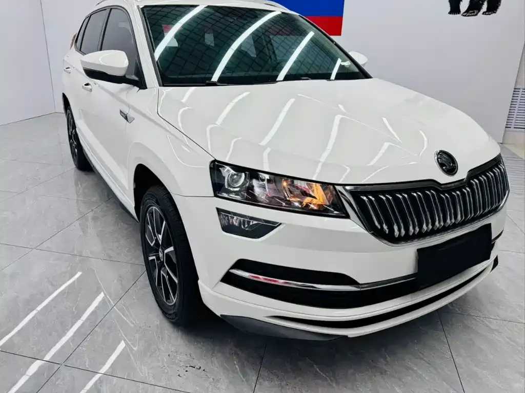 Skoda Karoq 2023 из CN, фото 6