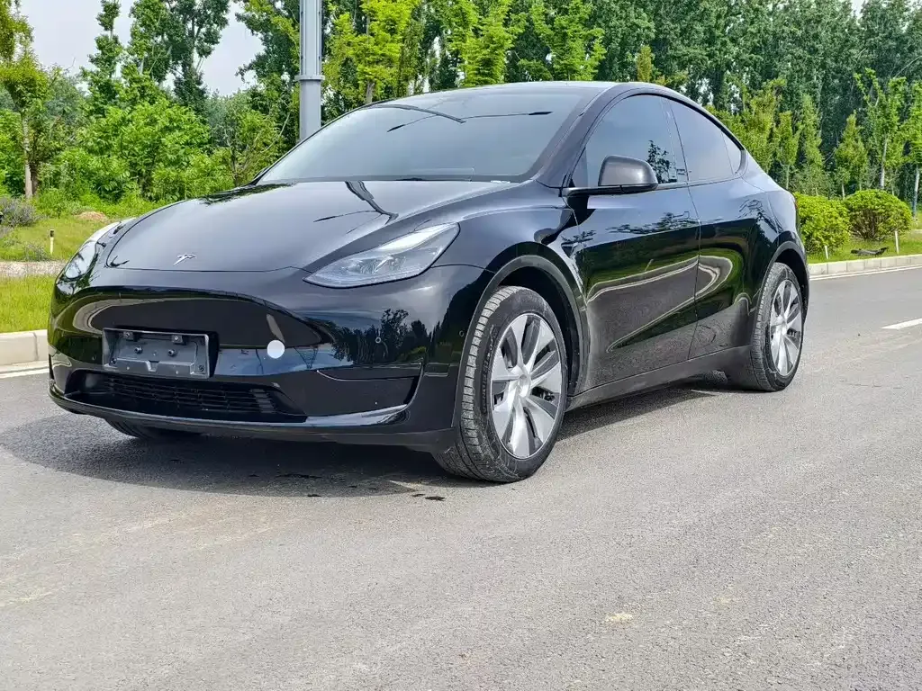 Tesla Model Y 2023 из CN, фото 1