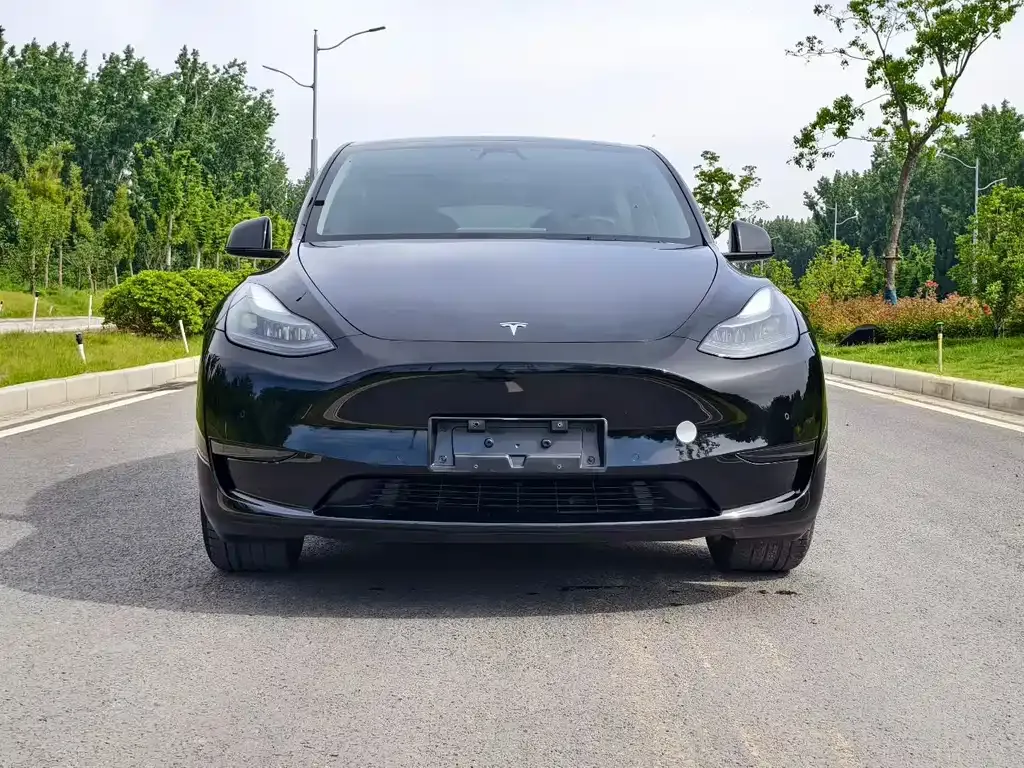 Tesla Model Y 2023 из CN, фото 10
