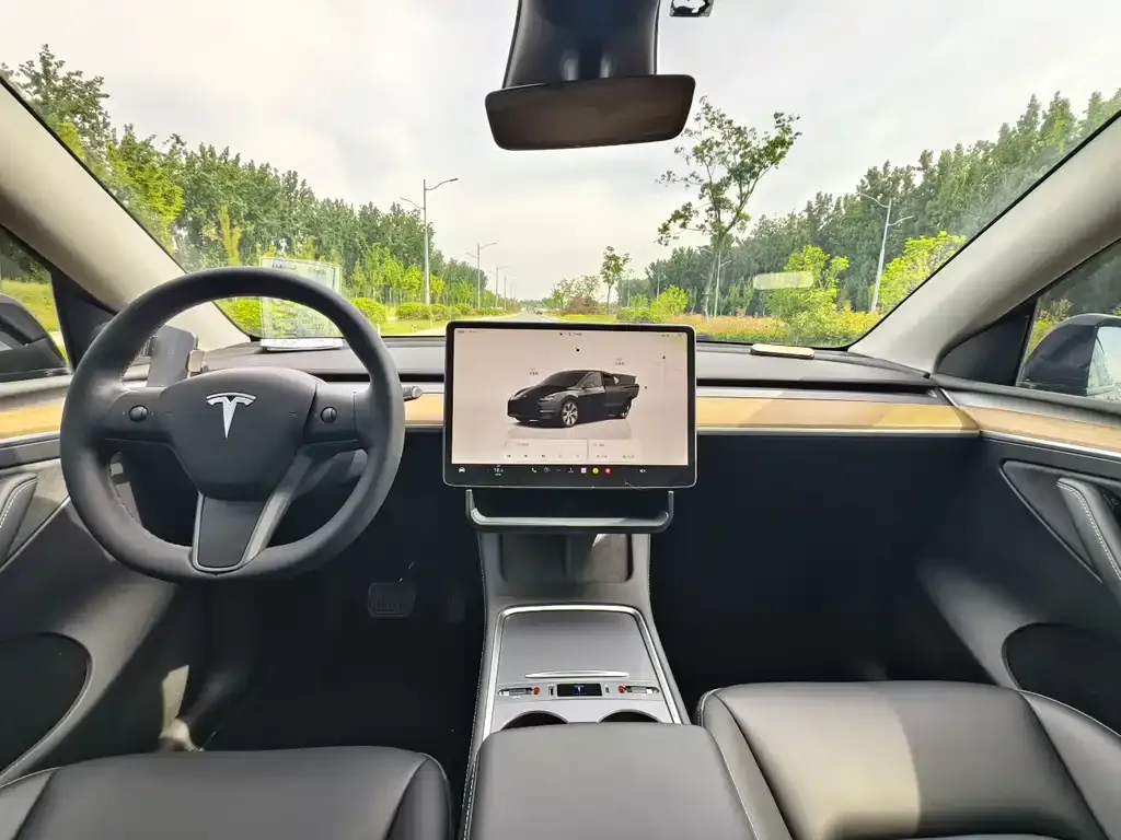 Tesla Model Y 2023 из CN, фото 5