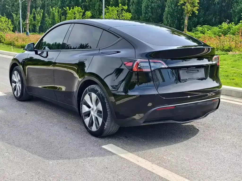 Tesla Model Y 2023 из CN, фото 7
