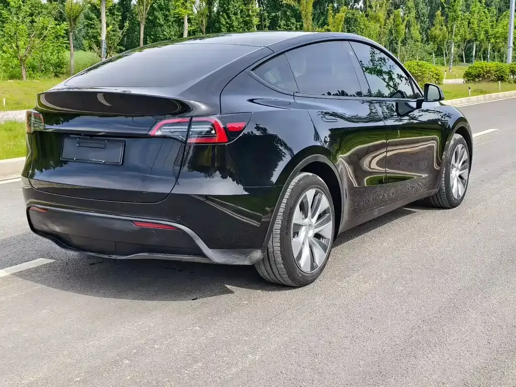 Tesla Model Y 2023 из CN, фото 9